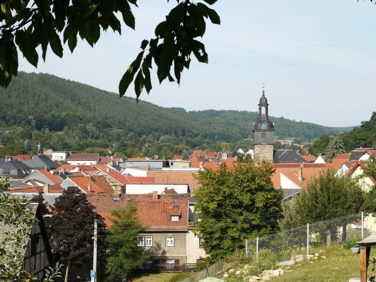 Ferienwohnung Haus "Anna" Bad Blankenburg Bagian luar foto